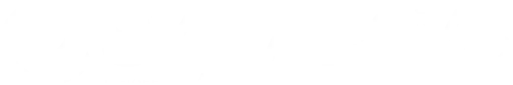 SYNAPSYS CONSEILS